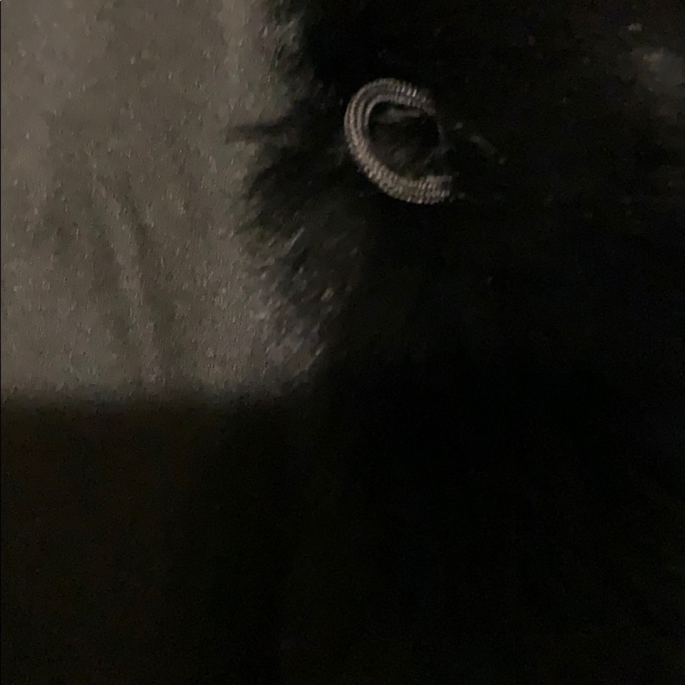 Fur Vest - Picture 5 of 5